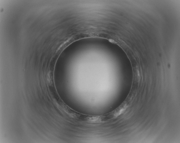 X0000073750088200608241358