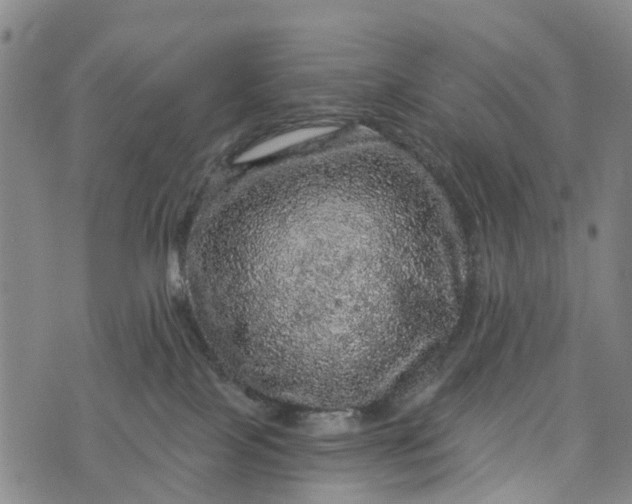 X0000073750089200608241358