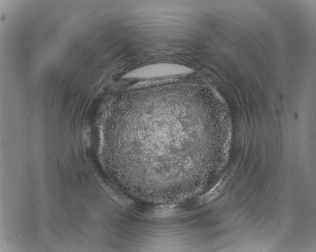 X0000073750090200608241358