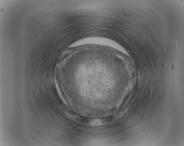 X0000073750091200608241358