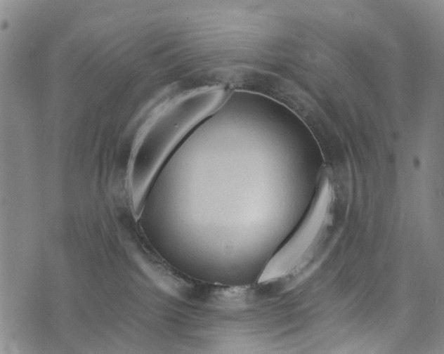 X0000073750092200608241358