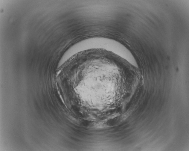 X0000073750093200608241358