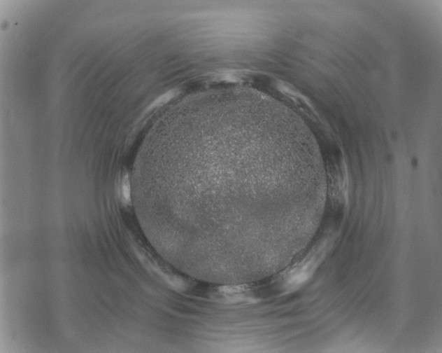 X0000073750095200608241358