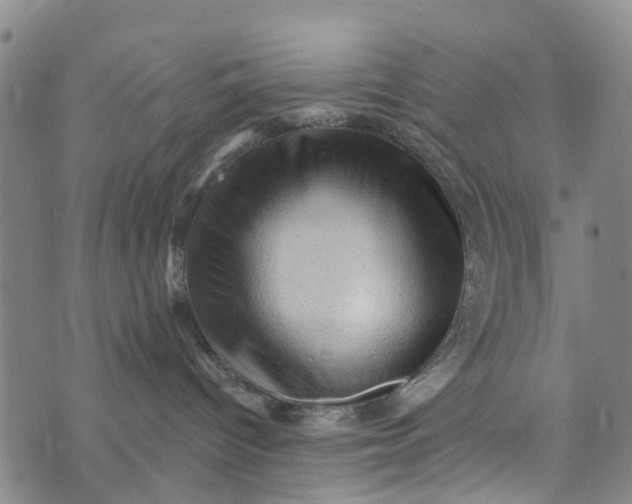 X0000073750096200608241358