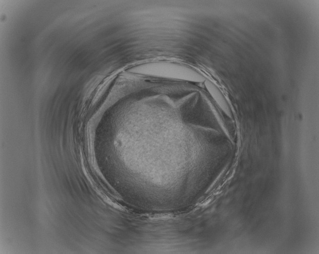 X0000073750097200608241357