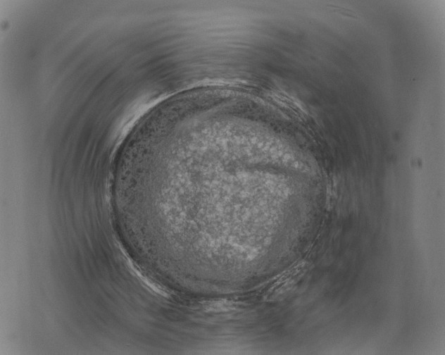 X0000073750098200608241357