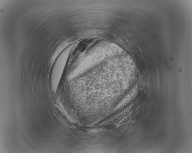 X0000073750099200608241357