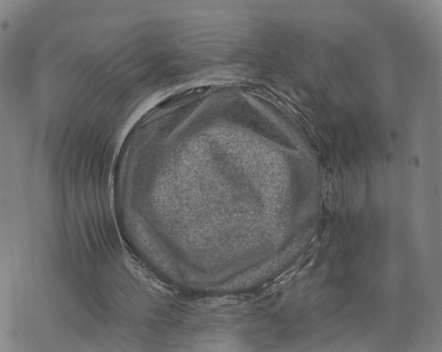 X0000073750100200608241357