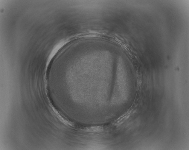 X0000073750102200608241357