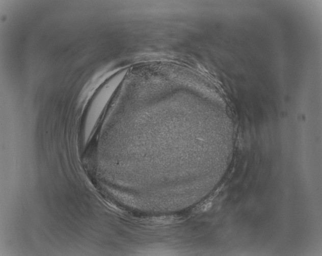 X0000073750103200608241357