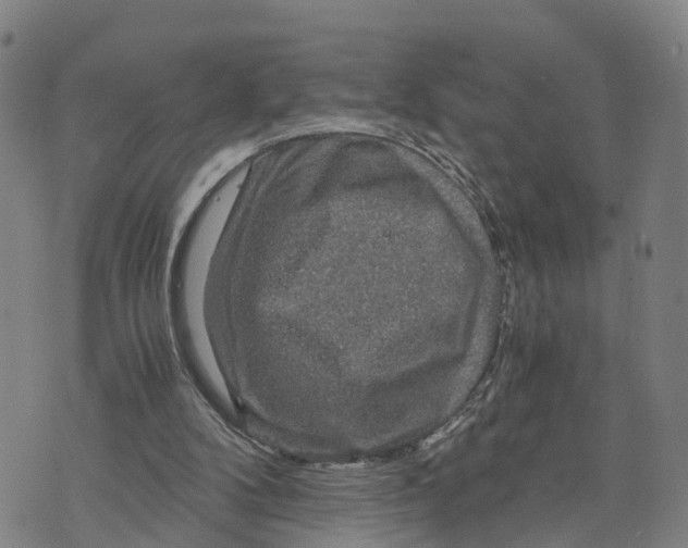 X0000073750104200608241357