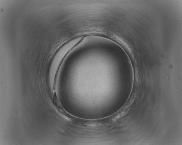 X0000073750105200608241357