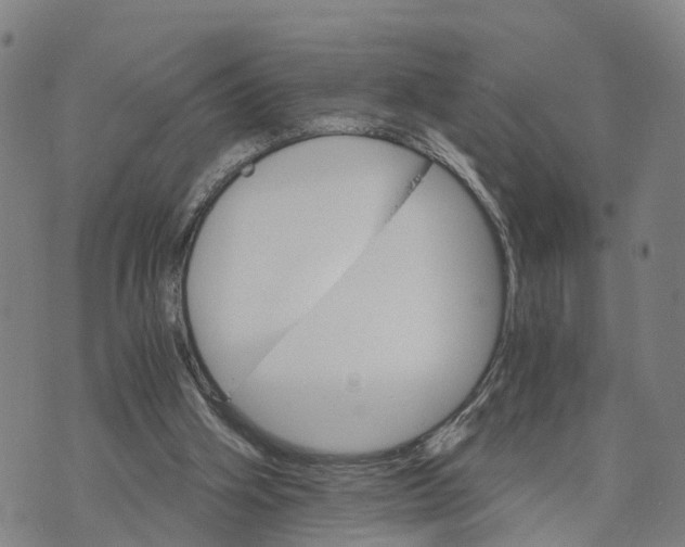 X0000073750106200608241357