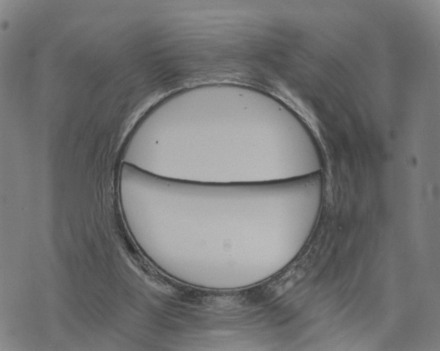 X0000073750107200608241357