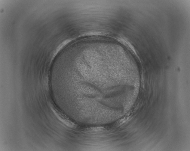 X0000073750108200608241357