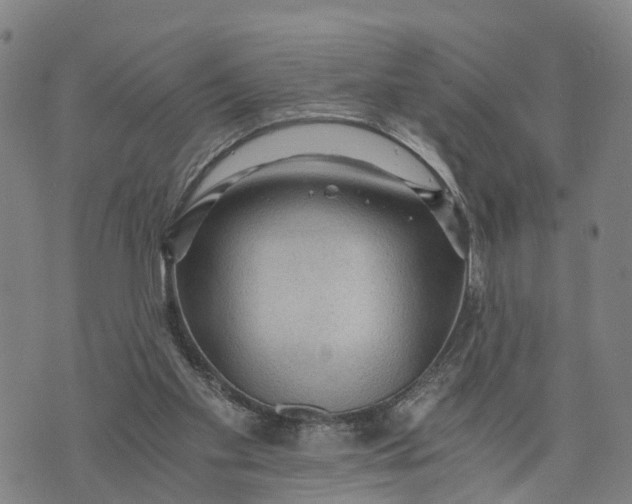 X0000073750109200608241357