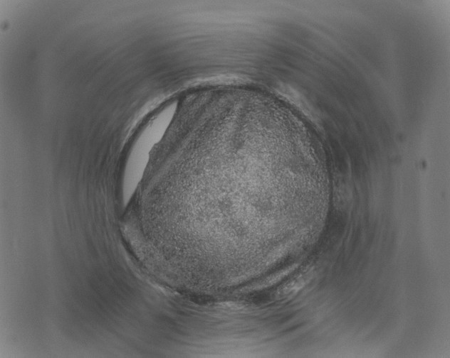 X0000073750111200608241357