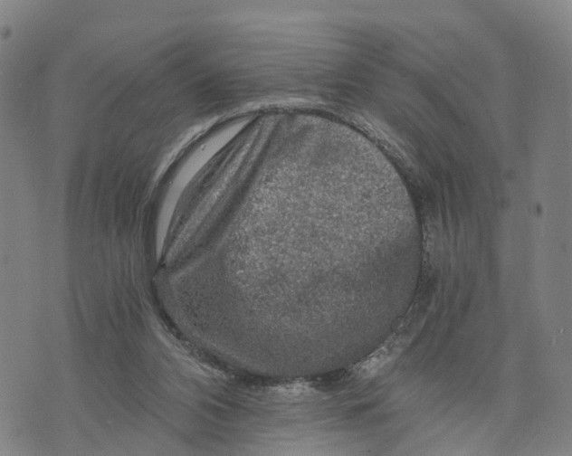 X0000073750112200608241357