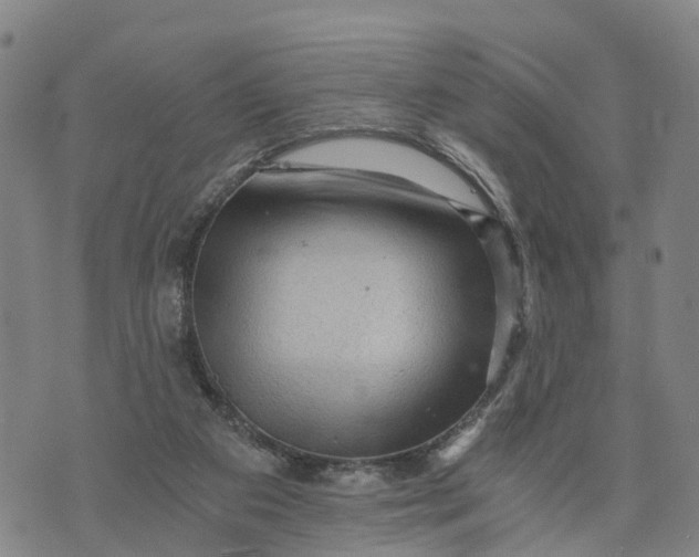 X0000073750113200608241357