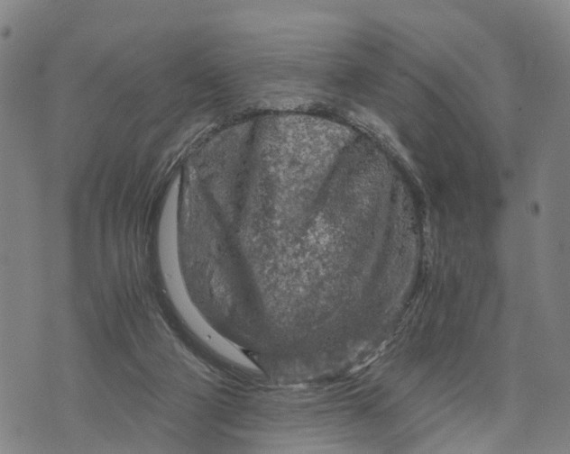 X0000073750114200608241357