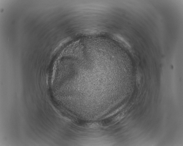 X0000073750115200608241357