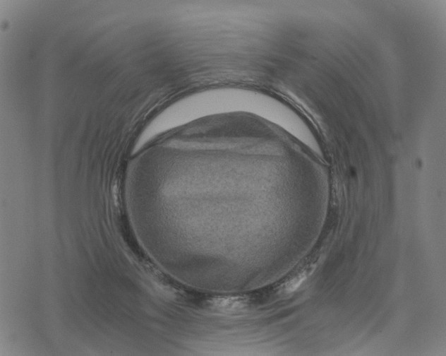 X0000073750117200608241357