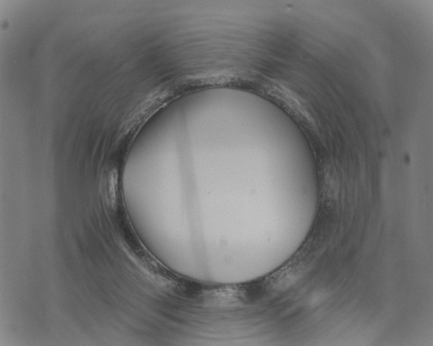 X0000073750118200608241357