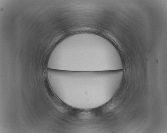 X0000073750119200608241357