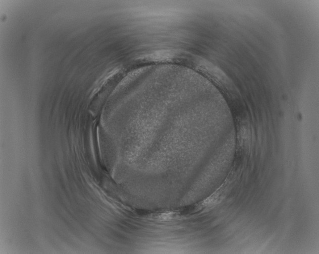 X0000073750120200608241357