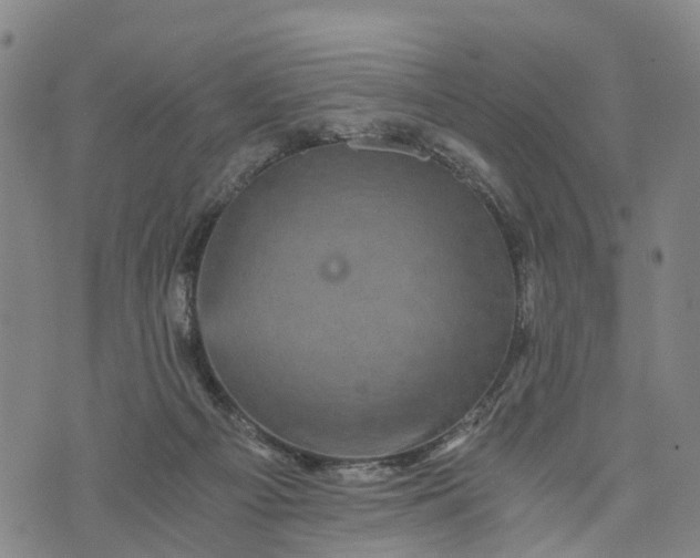 X0000073750121200608241357