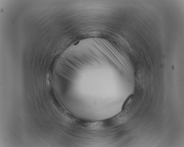 X0000073750122200608241357