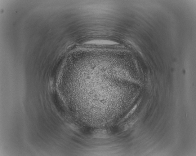 X0000073750123200608241356