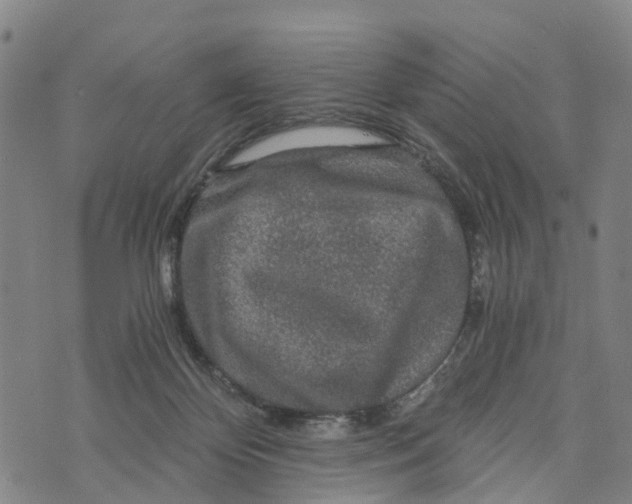 X0000073750124200608241356