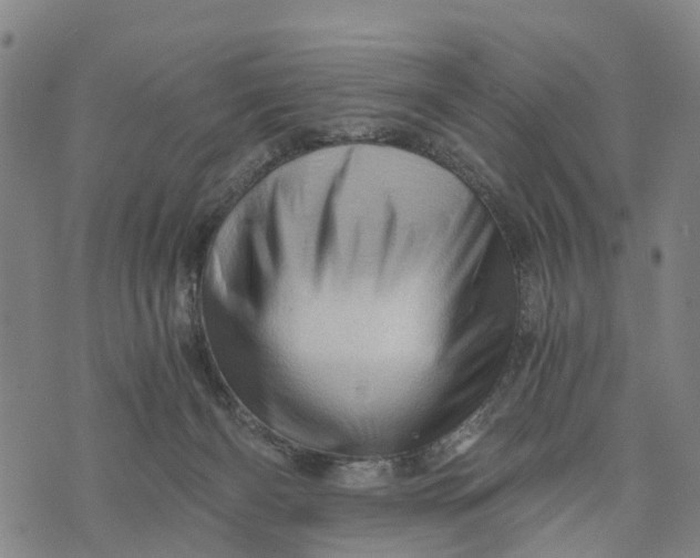 X0000073750126200608241356