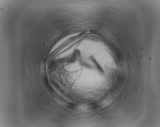 X0000073750127200608241356