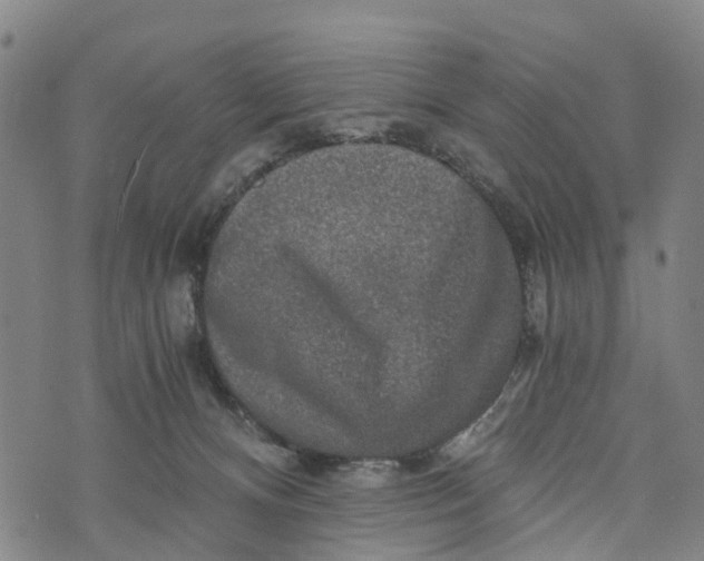 X0000073750128200608241356