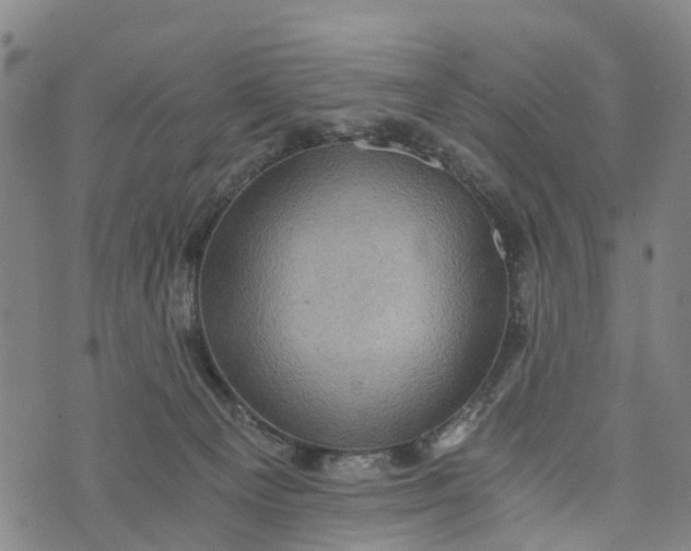 X0000073750129200608241356