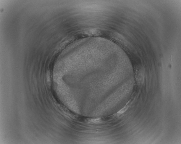 X0000073750132200608241356