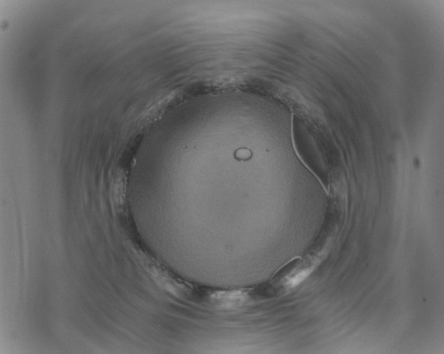 X0000073750133200608241356