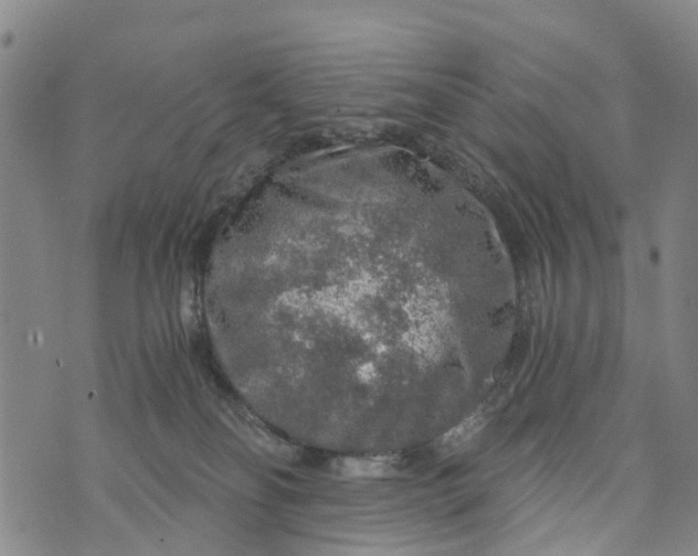 X0000073750134200608241356