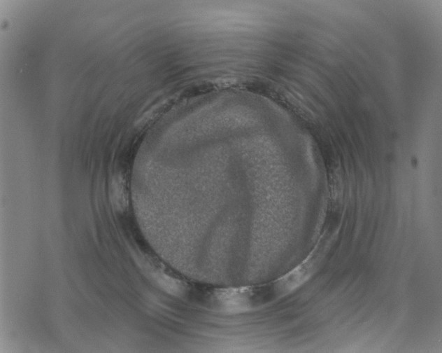 X0000073750136200608241356