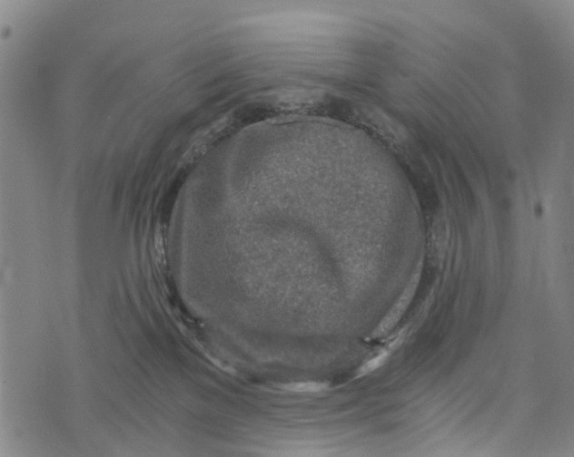 X0000073750137200608241356