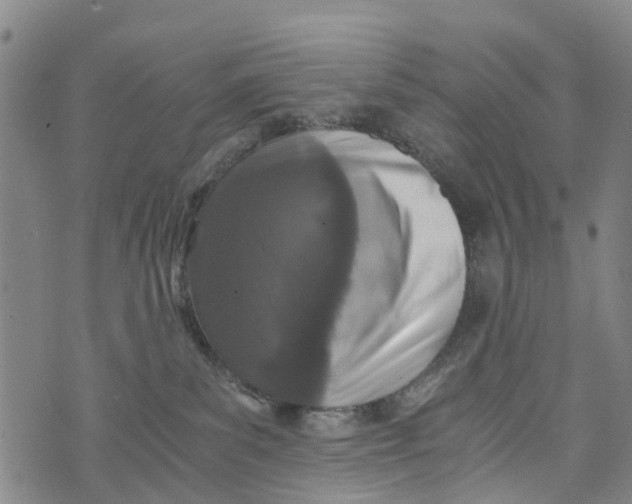 X0000073750139200608241356