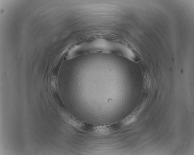 X0000073750141200608241356