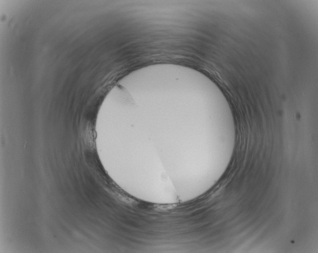 X0000073750143200608241356