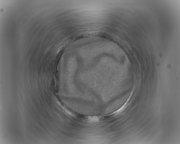 X0000073750144200608241356