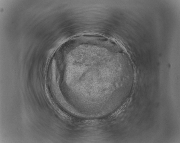 X0000073750145200608241355