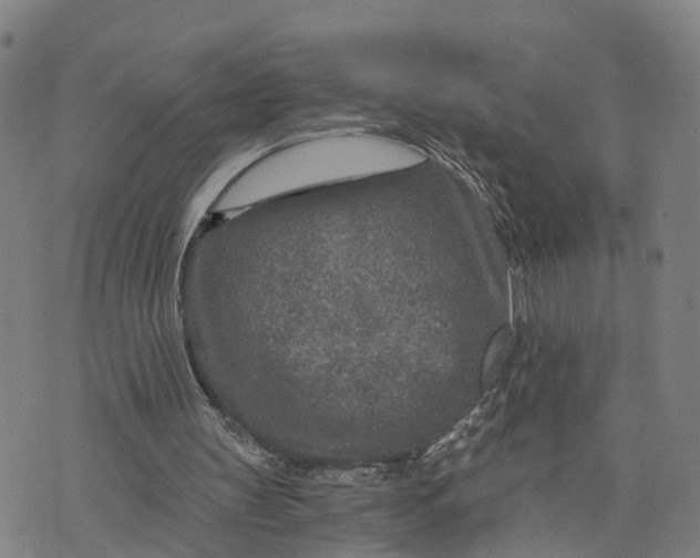 X0000073750147200608241355