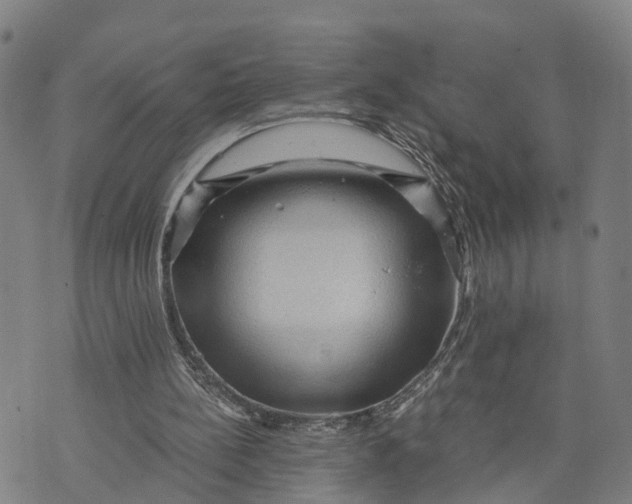 X0000073750148200608241355