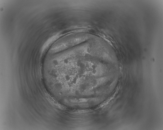 X0000073750149200608241355